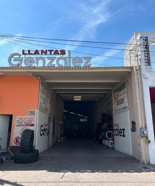 Llantas Gonzalez Ayotlan